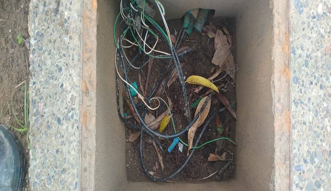 Hurto en parques de la ciudad.