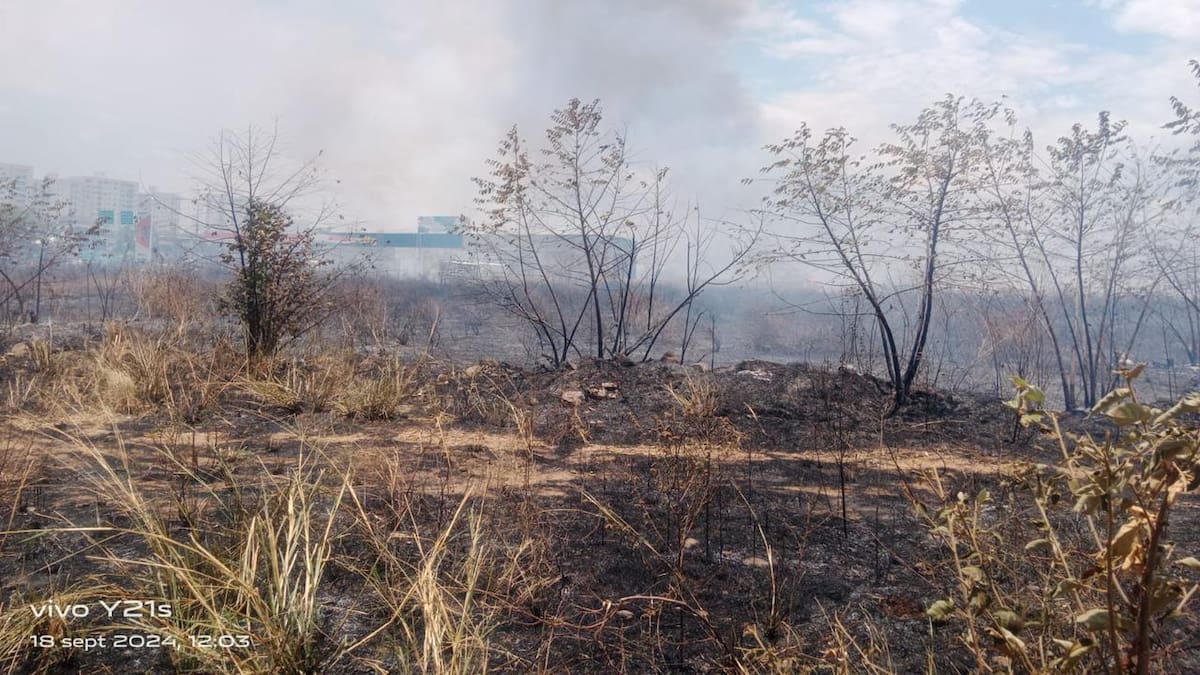 20 municipios del Atlántico están en alerta roja por riesgo de incendios forestales