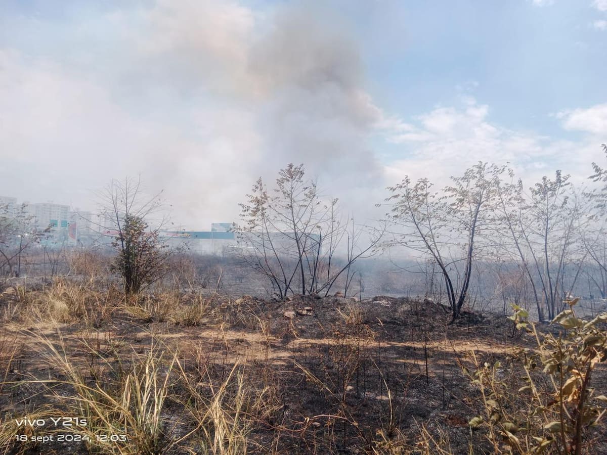Neiva lucha contra devastadores incendios forestales