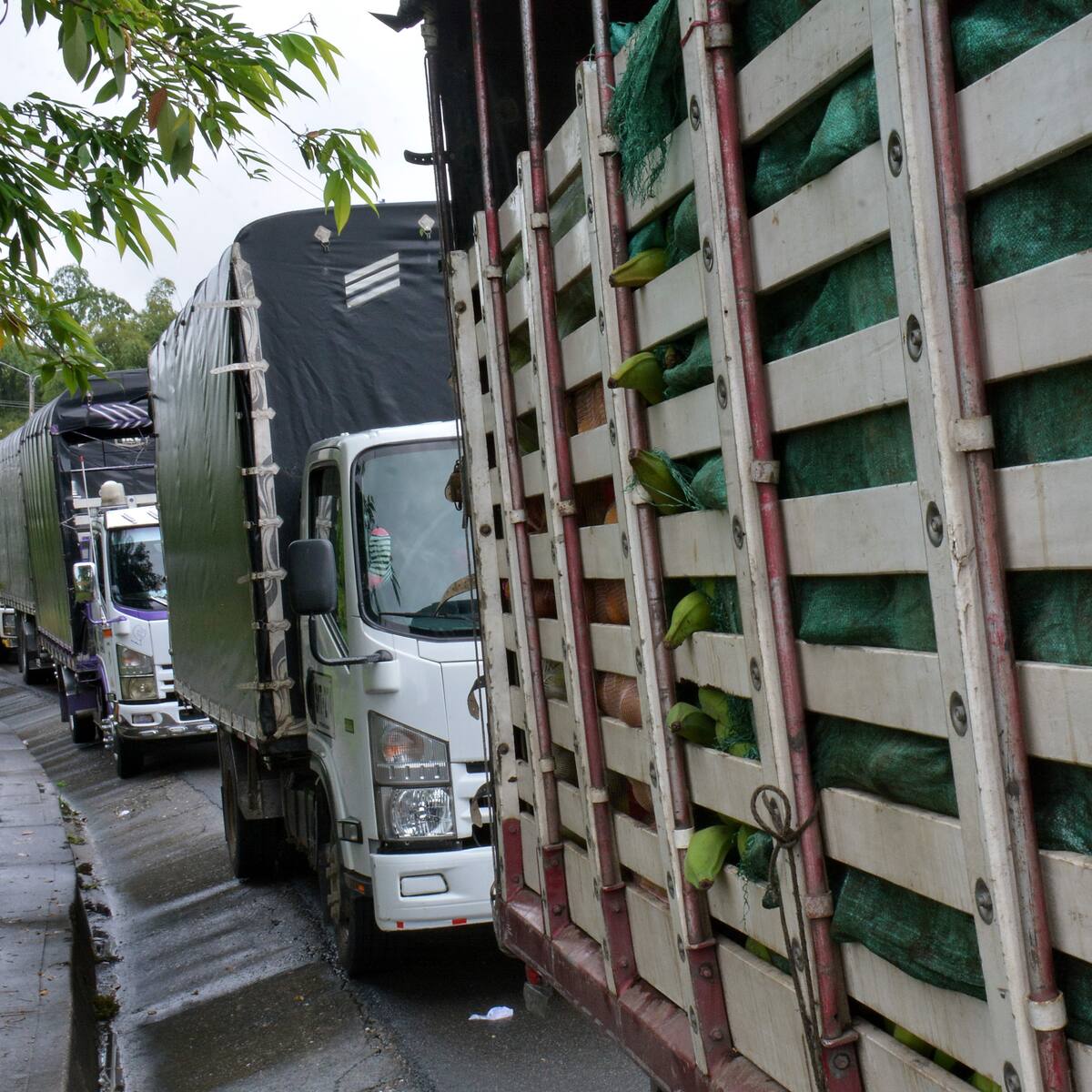 Afectaciones en Ecuador por bloqueos en vía Panamericana: “pérdidas de 200.000 dólares”
