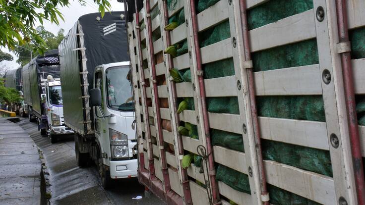 Afectaciones en Ecuador por bloqueos en vía Panamericana: “pérdidas de 200.000 dólares”