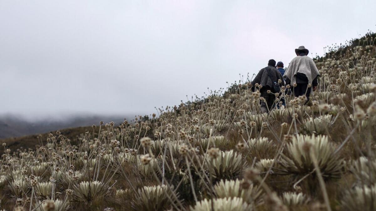 Campesinos del páramo del Almorzadero en Santander pospusieron paro programado para marzo