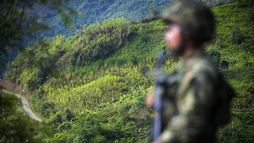 Aún no se tiene claridad sobre muerte de cocaleros en Nariño. Foto: Getty Images
