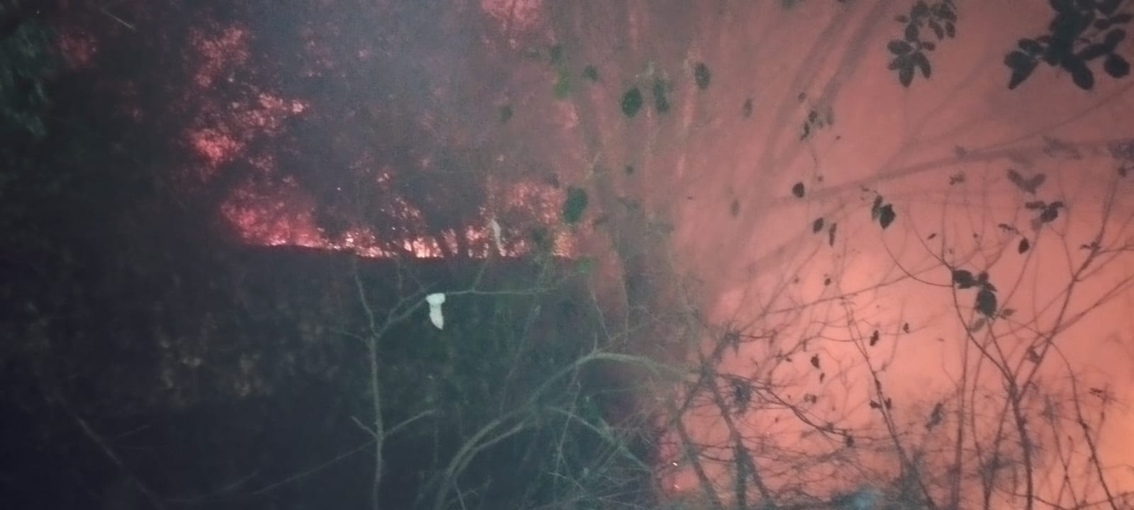 En Bucaramanga se reportan 40 incendios forestales en el 2024