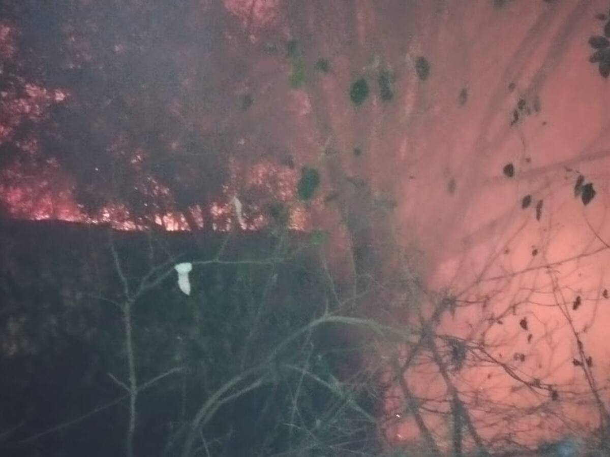 En Bucaramanga se reportan 40 incendios forestales en el 2024