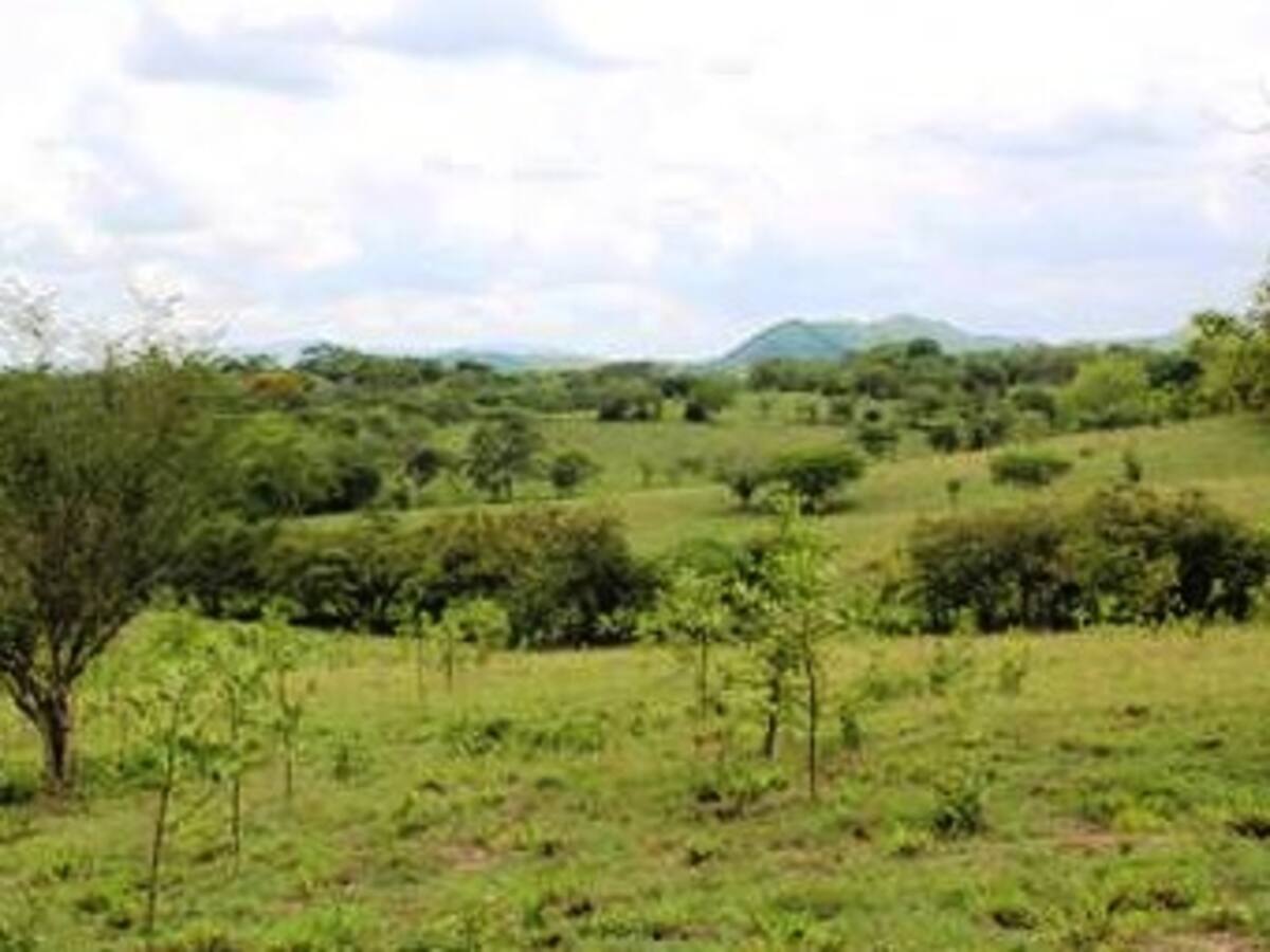 Concentración de predios baldíos en Colombia en el ojo del huracán