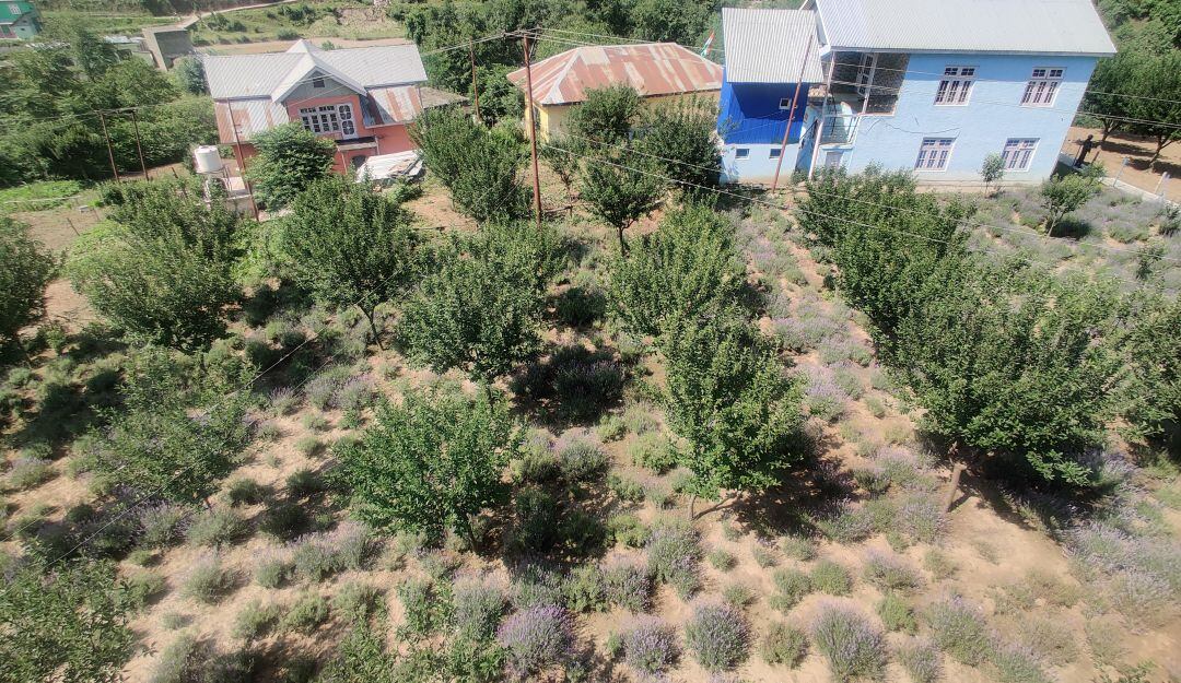 Imagen de referencia 