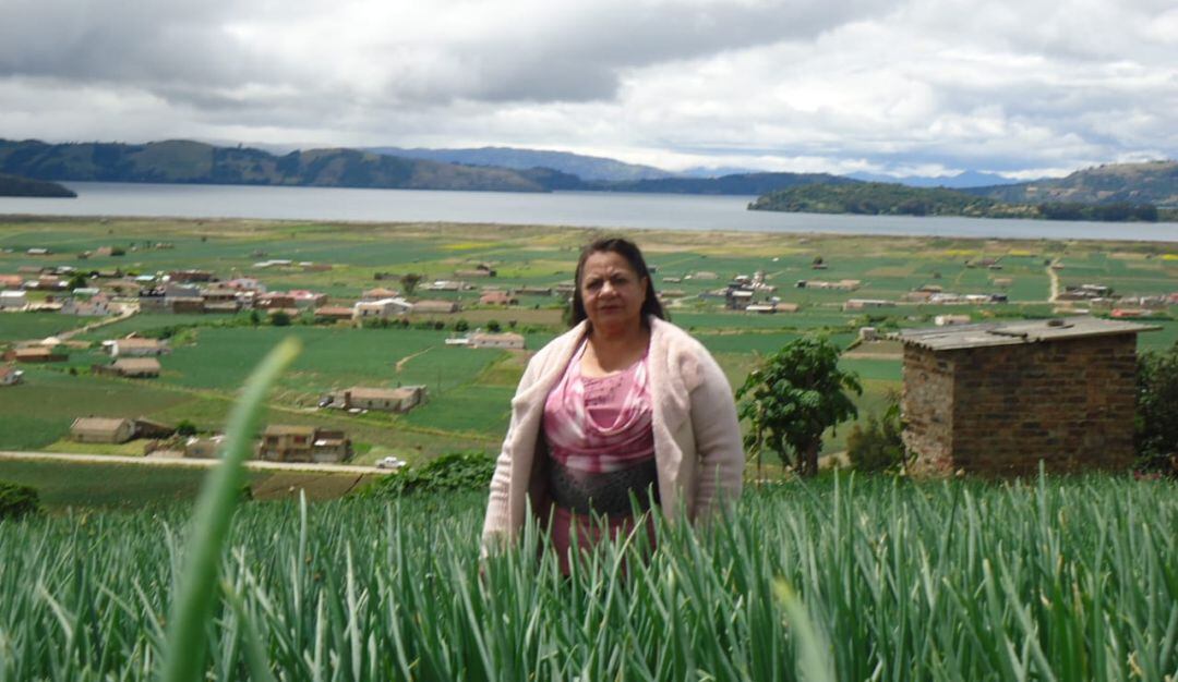 Cultivos de cebolla cerca al Lago de Tota