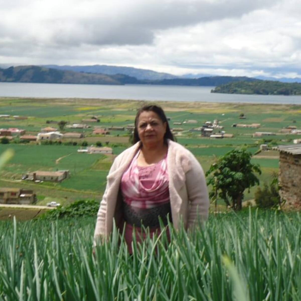 Cebollas en pasta, en polvo y en hojuelas, innovación en Aquitania