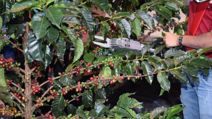 Murió Ernesto Garcés Soto, expresidente de la Federación de Ganaderos