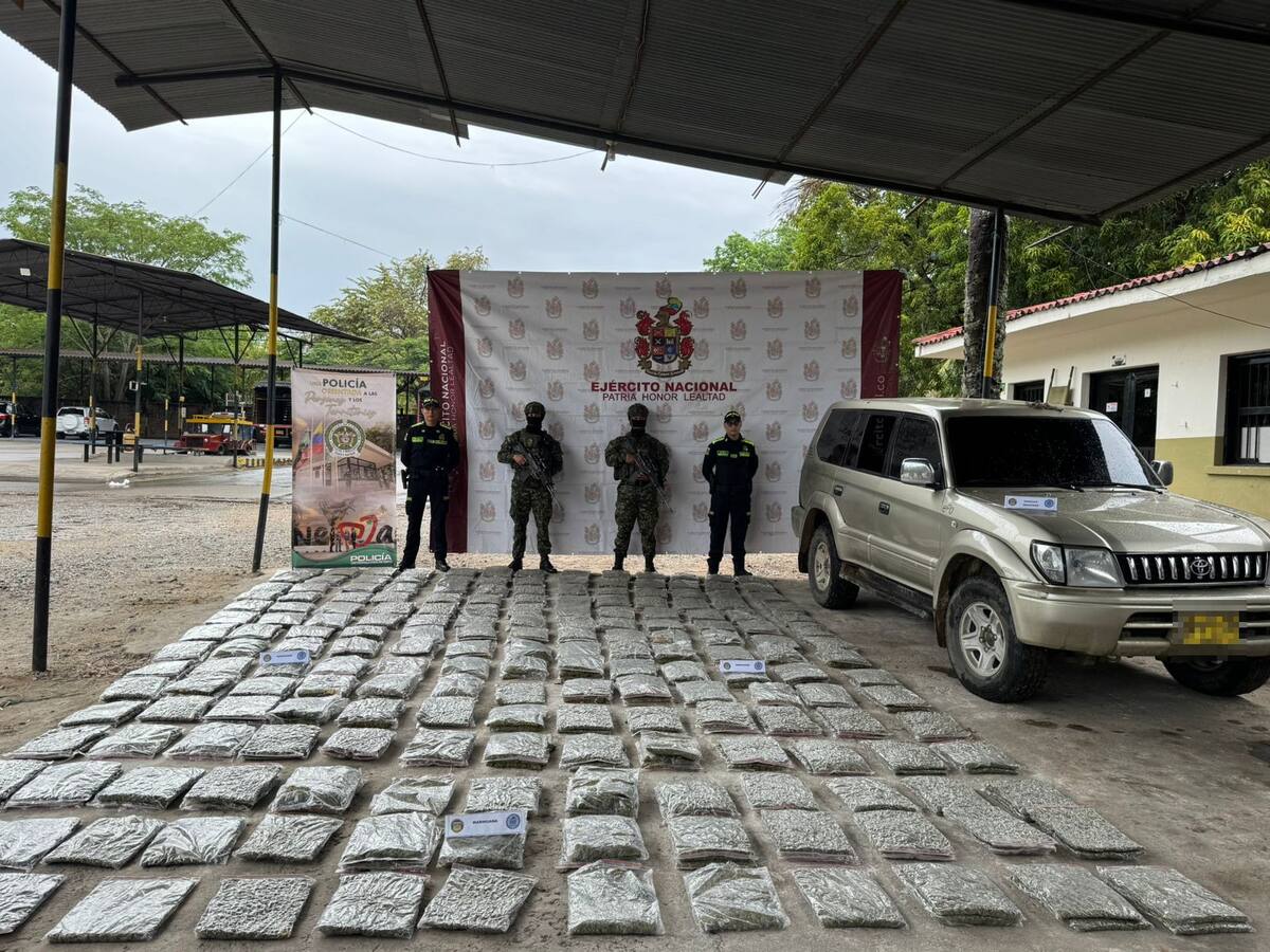 Autoridades decomisan 198 kilos de marihuana en la vía Neiva – Palermo