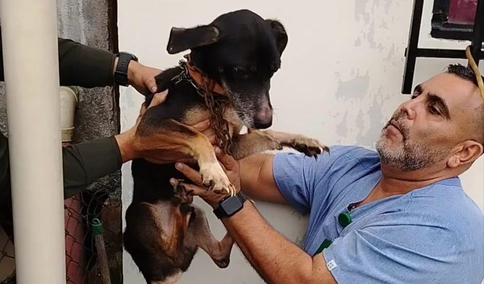 Foto: Alcaldía Dosquebradas