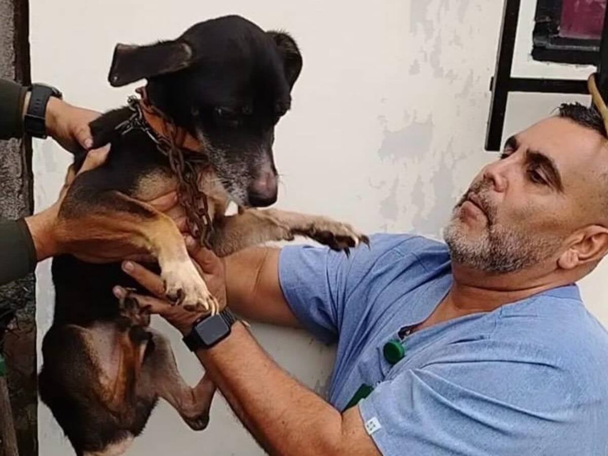 Fueron rescatados 15 animales que estaban en condiciones de maltrato en Dosquebradas