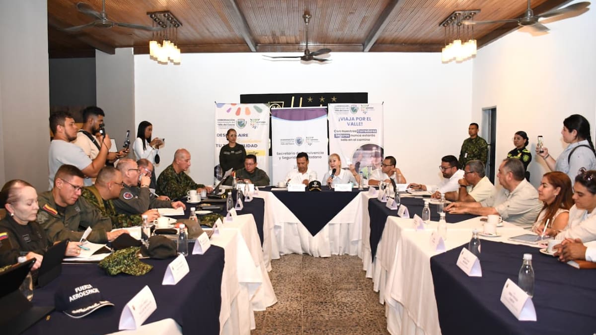 Mindefensa ordenó desmantelar las bandas de ‘Nueva Generación’ y ‘Los Flacos’ en norte del Valle