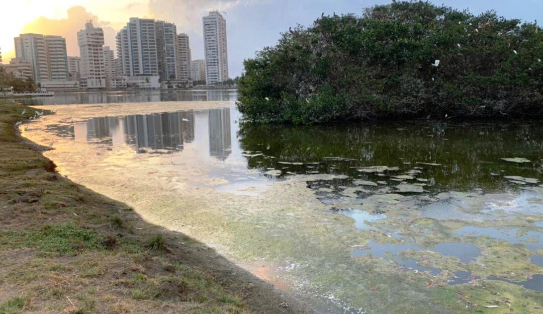 Procuraduría solicitó definir convenio para operación de bomba axial