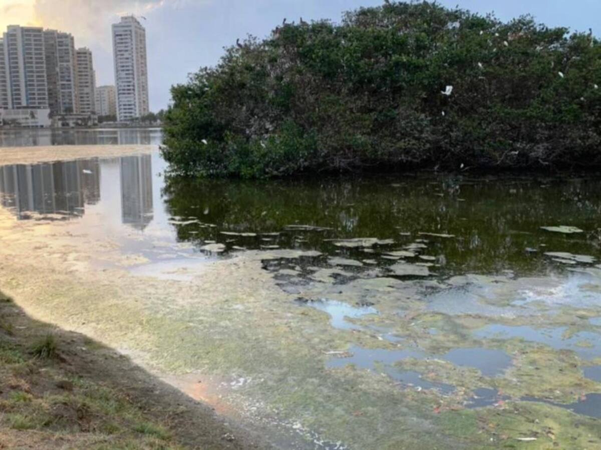 Procuraduría solicitó definir convenio para operación de bomba axial