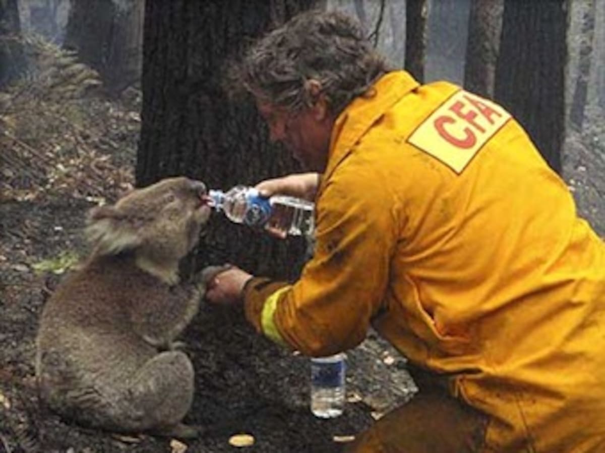 Australia teme que los muertos por los incendios superarán los 220