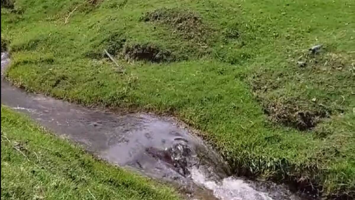 Corpocaldas ejecuta obras de mitigación del riesgo en Marulanda