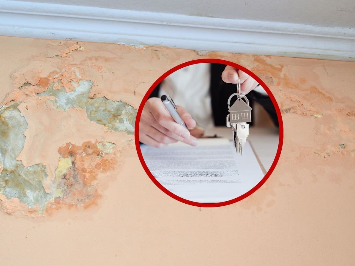 ¿Se puede terminar un contrato de arriendo por humedad en el inmueble? Así se debe manejar