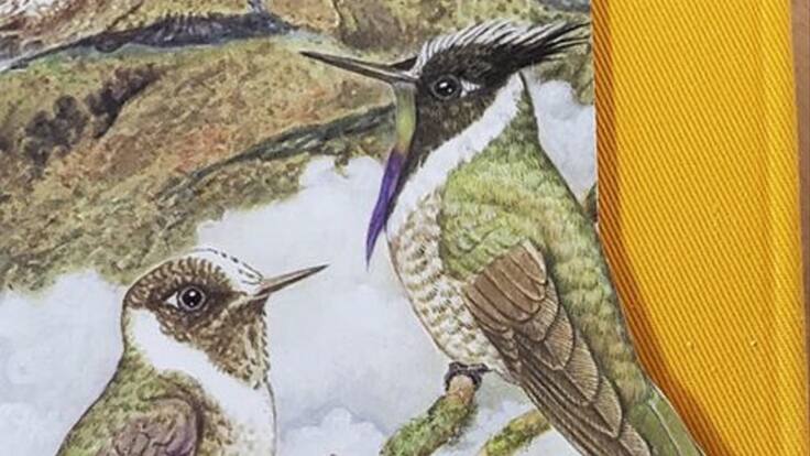 “Tesoros alados”: escrito por Tatiana Gutierrez Giraldo