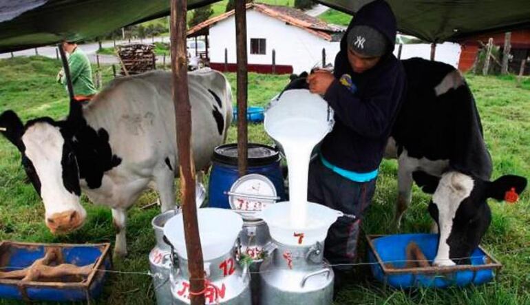 Imagen de ilustración