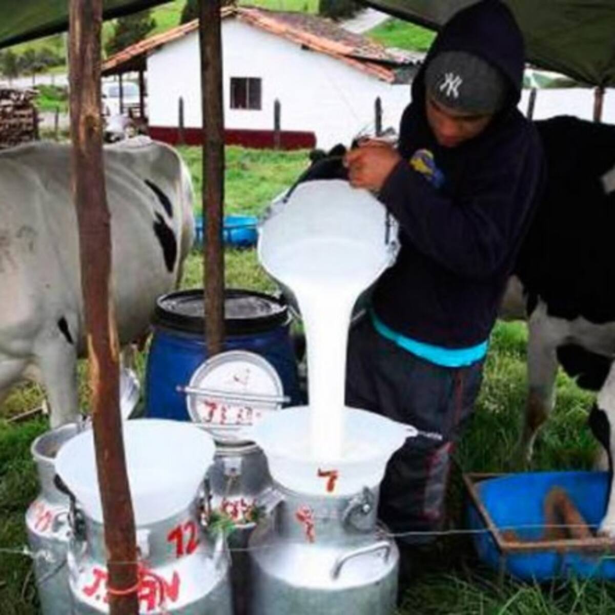¿Les gusta el trabajo del campo a los jóvenes colombianos?