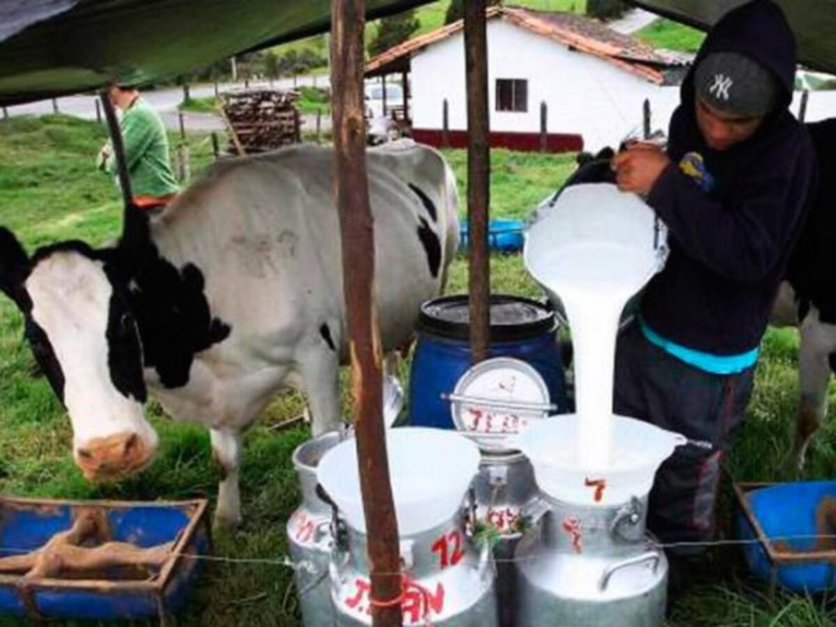 ¿Les gusta el trabajo del campo a los jóvenes colombianos?