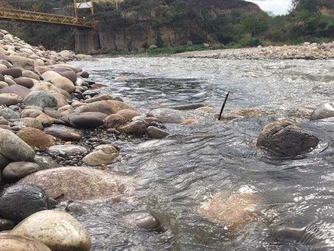 Mortandad de peces en el Río Zulia