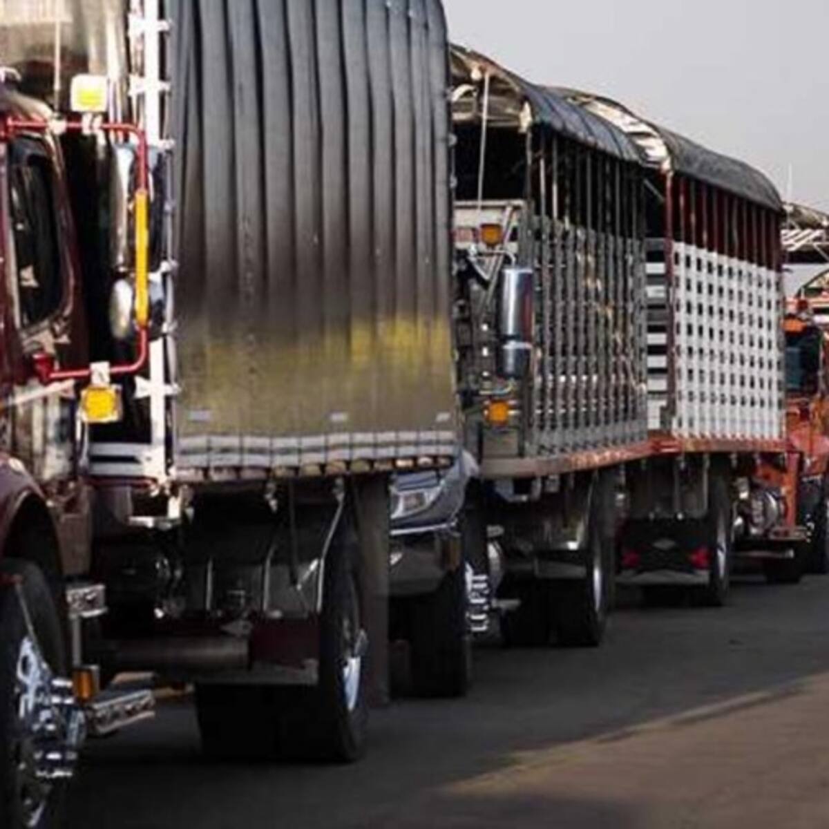 Transportadores alertan por crisis económica: Pérdidas superan los $3 billones en 2023
