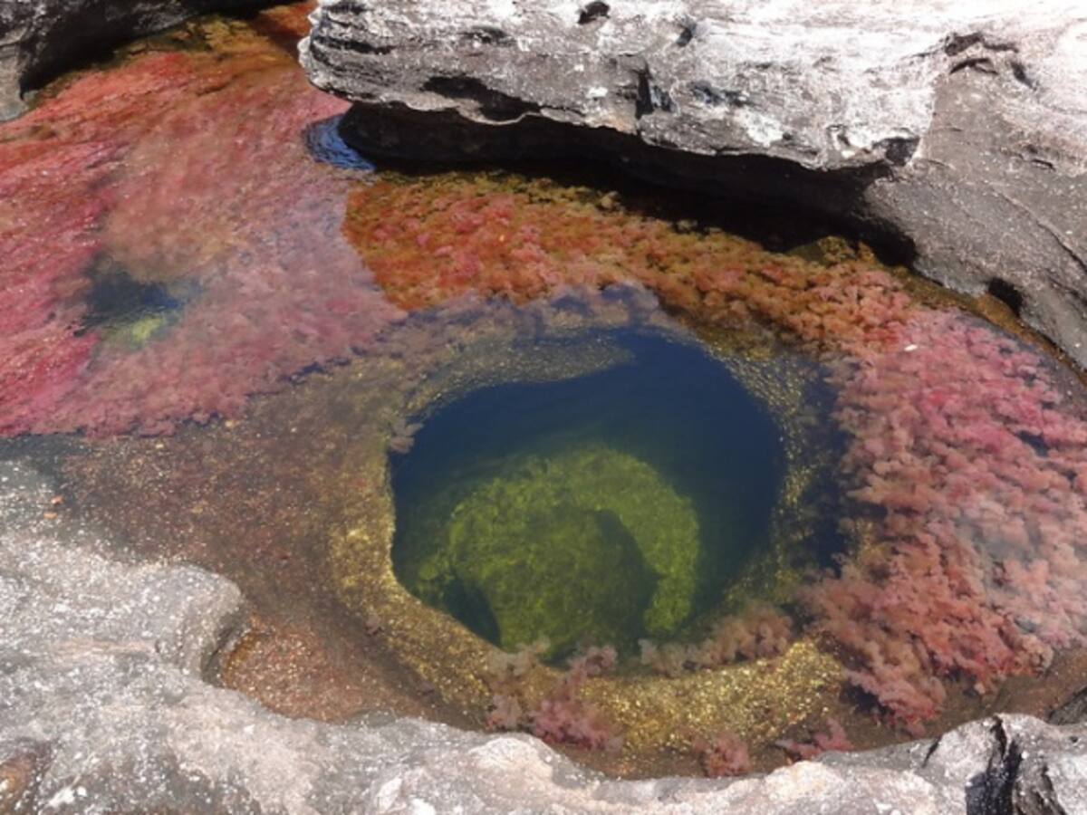 “Todavía no celebramos”: alcalde de La Macarena