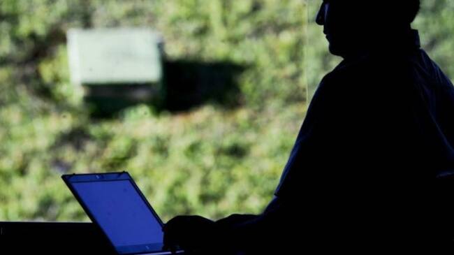 Autoridades buscan a los responsables