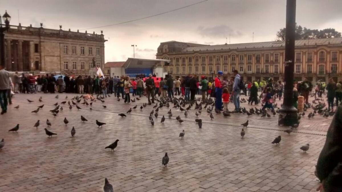 Tras la monumental marcha del miércoles, algunos jóvenes mimebros de los equipos promotores del Sí, decidieron permanecer acampando en la Plaza de Bolívar como señal de protesta hasta que se llegue a un acuerdo definitivo de paz. 
