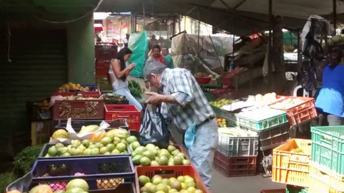 Coteros de Manizales, dedicados al rebusque