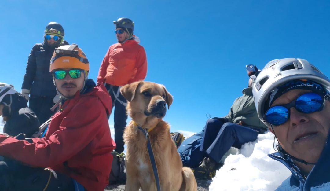 Perrito es rescatado de la montaña más alta de México