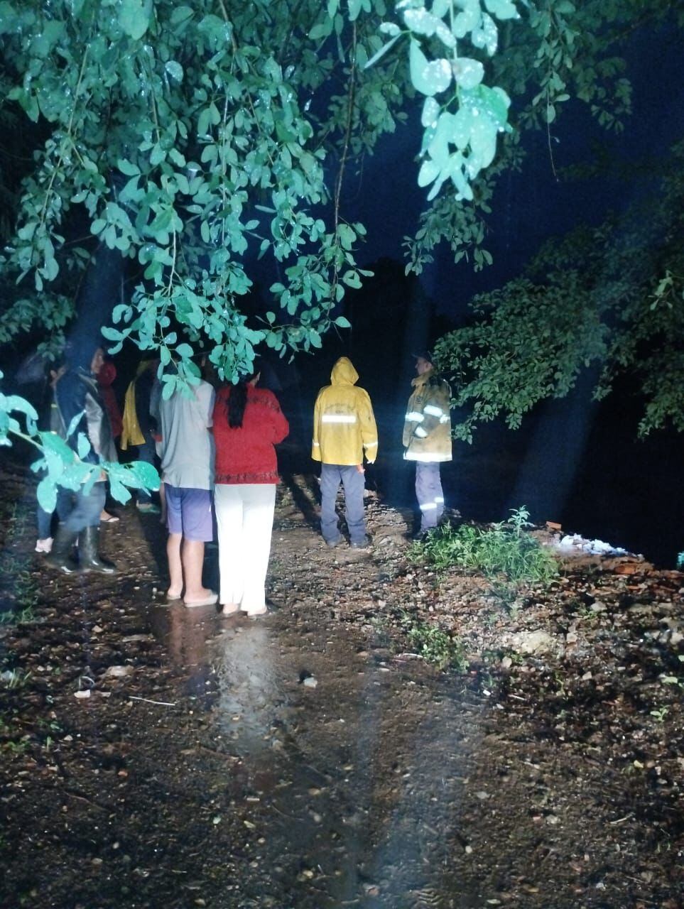 Presencia de enjambres ha provocado traumatismos y picaduras a los transeúntes. Foto Bomberos Neiva.