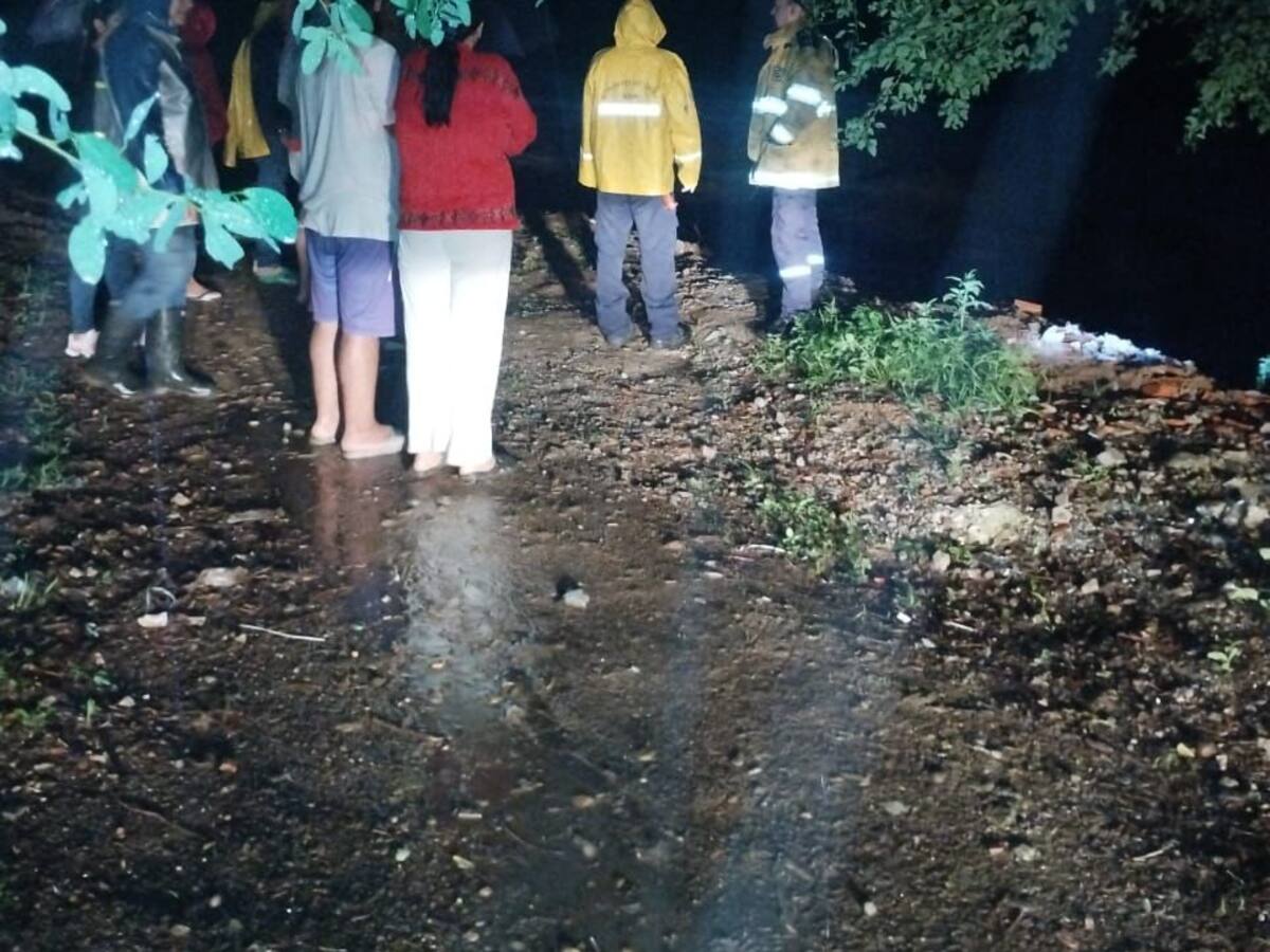 Cuerpo de Bomberos de Neiva refuerza controles apícolas para proteger a la ciudadanía