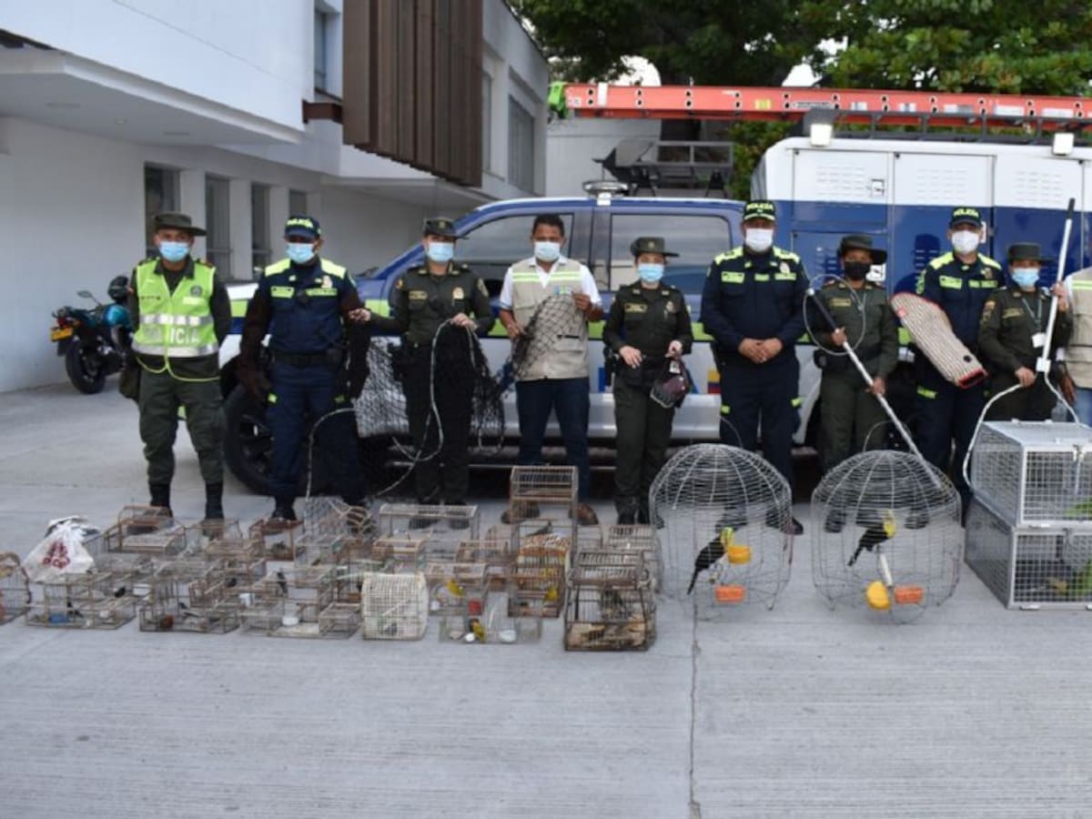 Llegó a Cartagena la patrulla de rescate animal de la Policía