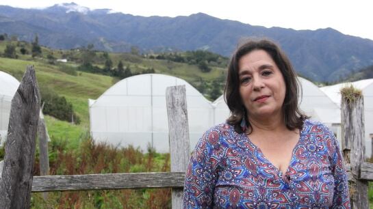 Ligia Salamanca