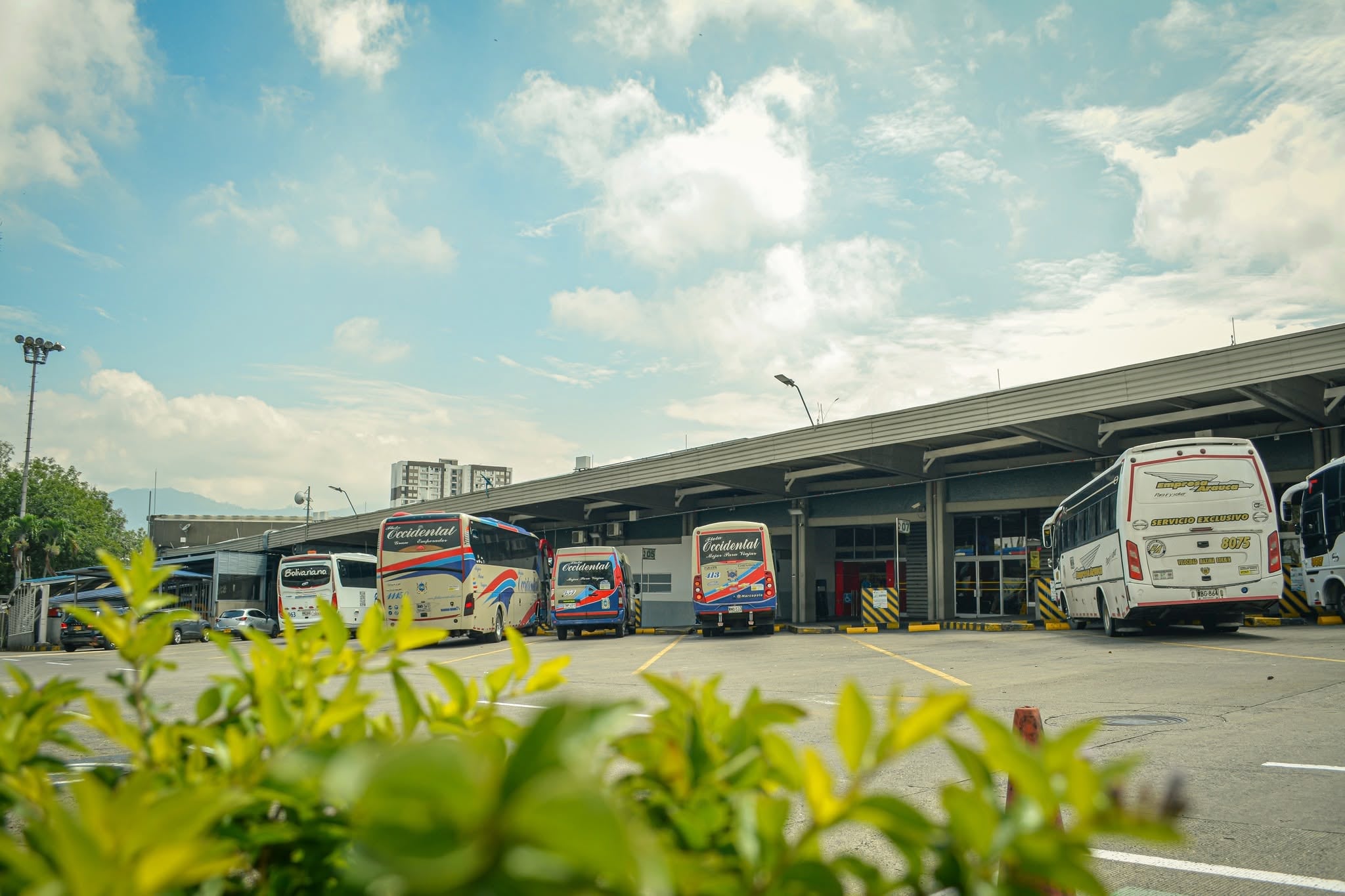 Foto: Terminal de Transportes de Pereira