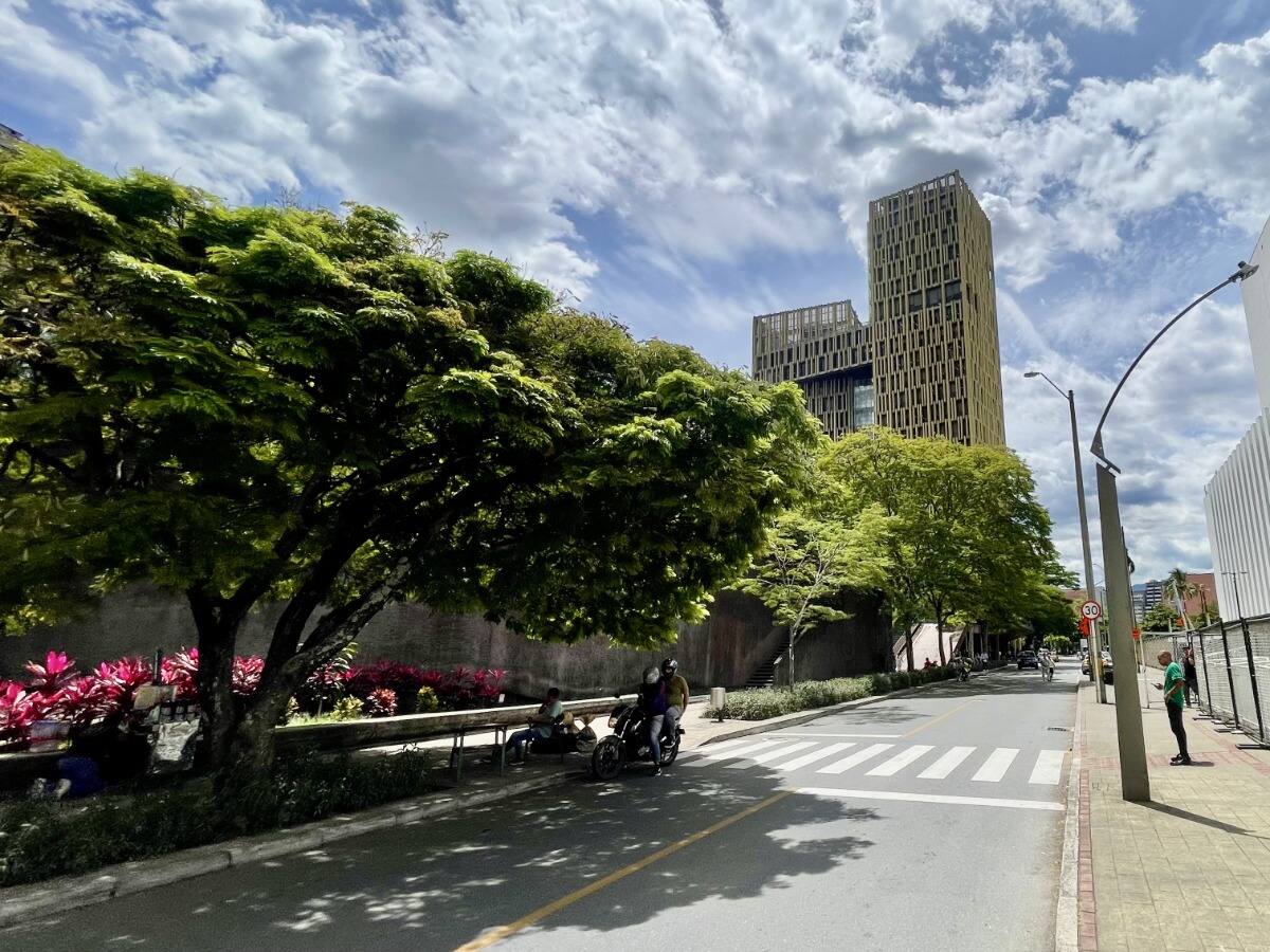 El evento de árboles urbanos más importante del mundo llega a Medellín