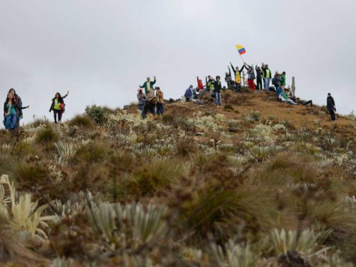 La molestia del sector ambiental por artículo de la ley de páramos
