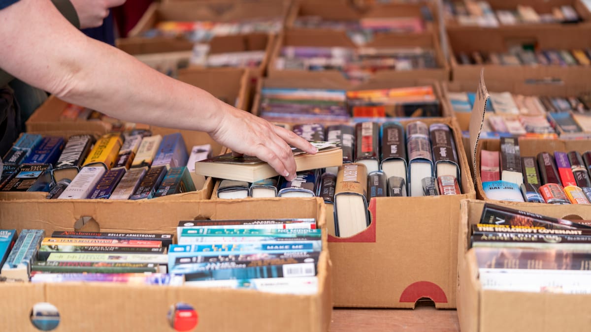 “La Filsai no está bloqueada”: directora del evento sobre disturbios en San Andrés