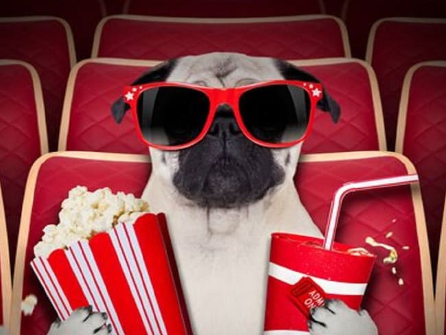 Abren cine donde es permitido asistir con perros
