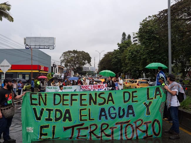 En Armenia se llevó a cabo la décima Marcha Carnaval Quindío 2025. Foto Vanessa Porras