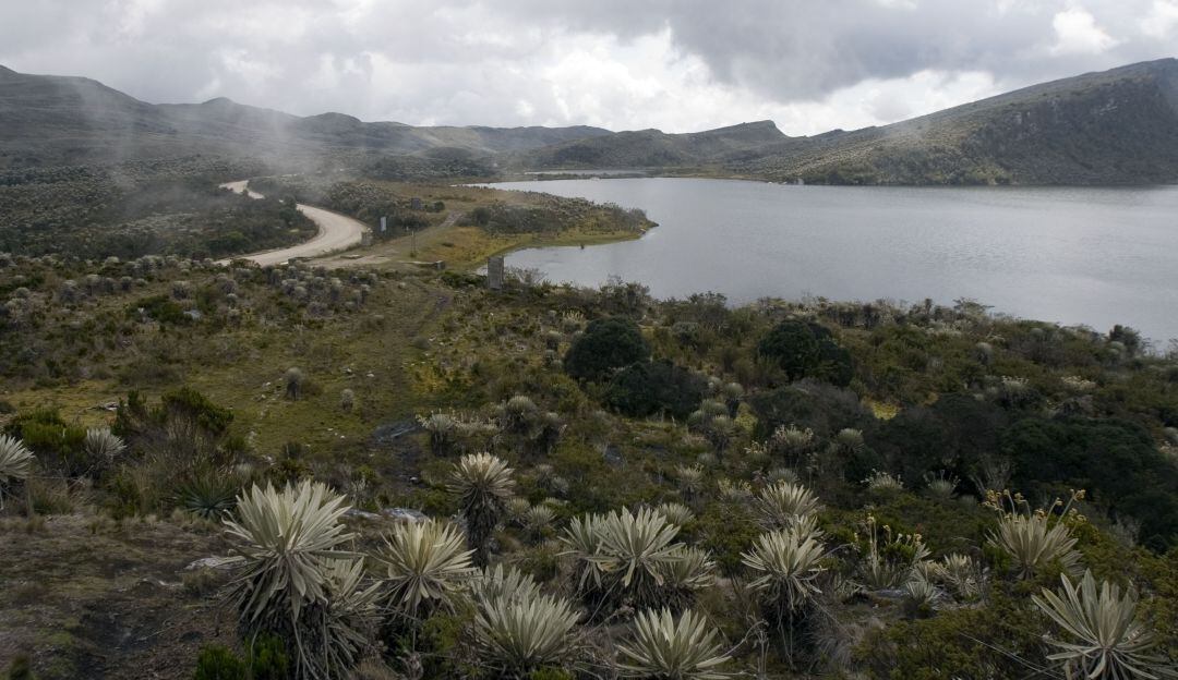 Imagen de referencia.