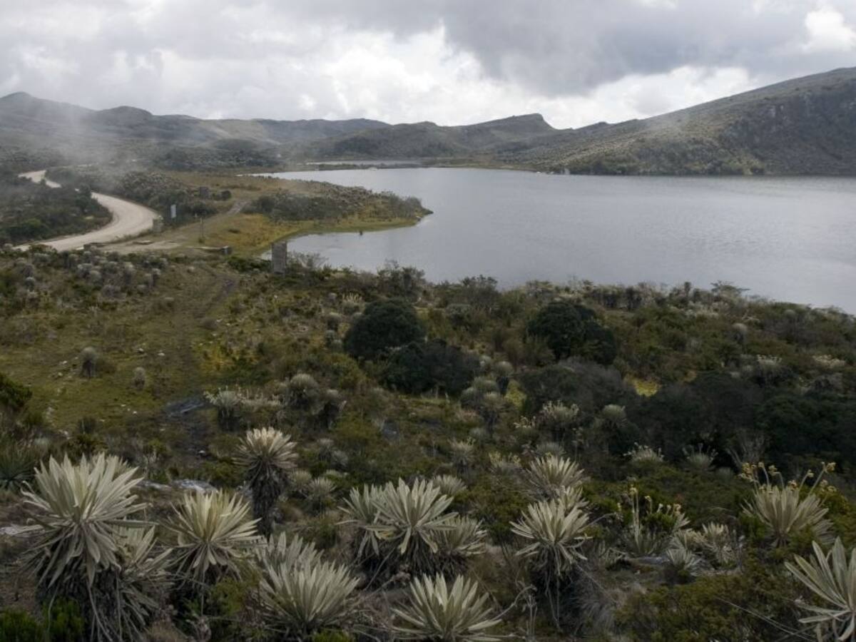Corte avala actividades agrícolas de bajo impacto en páramos