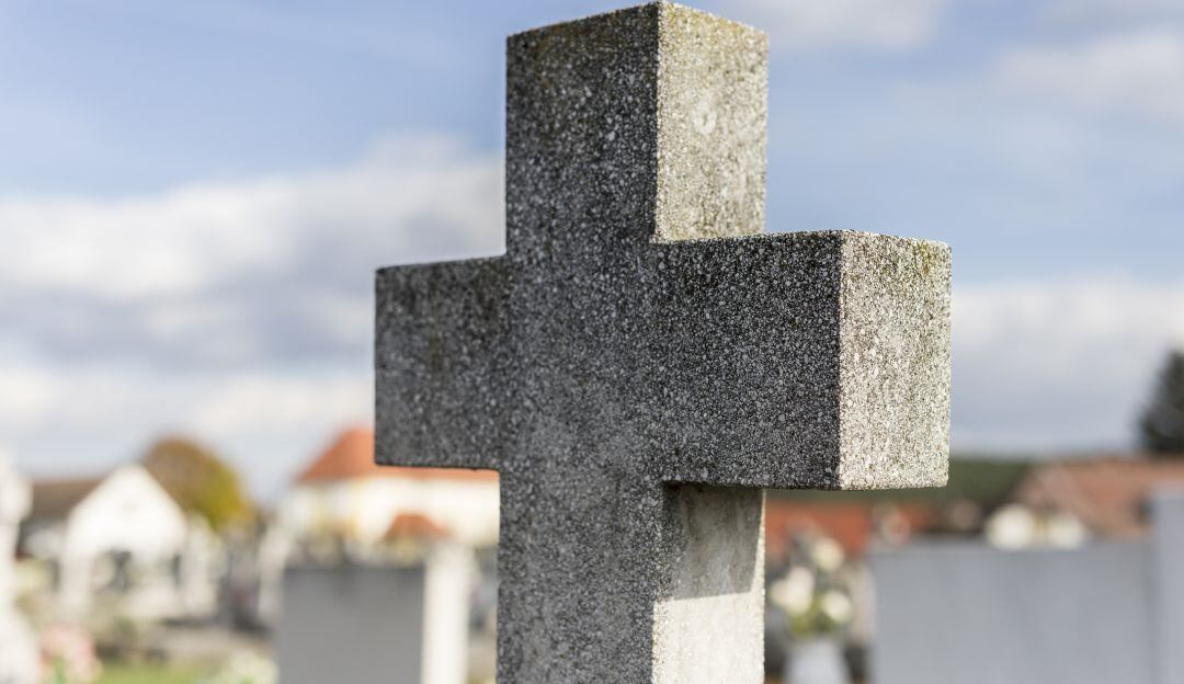 Imagen de referencia