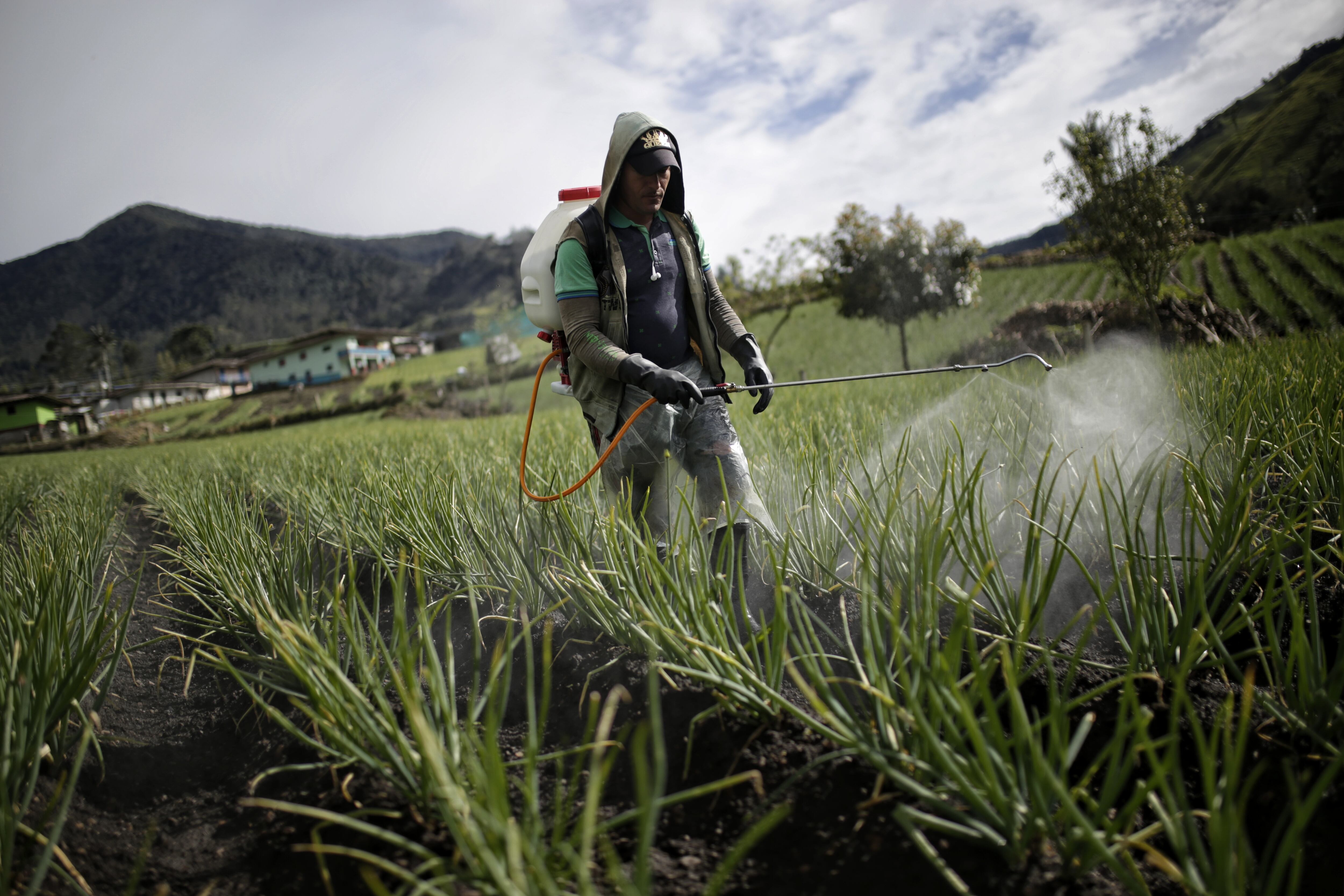 Tenerife. 29 de Abril del 2022. Unas tres mil personas que viven en el Páramo de las Hermosas, una zona que en el pasado fue afectada por el conflicto armado, ahora le apuestan con éxito al turismo de naturaleza y al desarrollo de proyectos productivos sostenibles. (Colprensa-Sergio Acero)