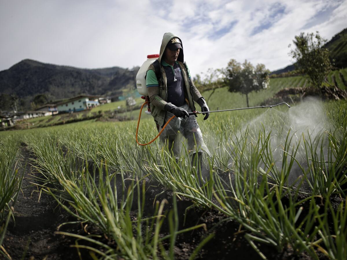 Solo el 21% de las tierras ofertadas por Fedegan pasaron la revisión del Gobierno