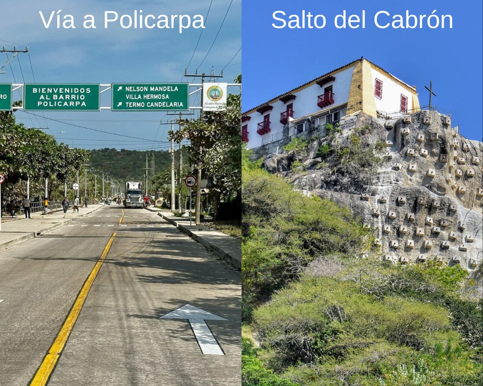 Alcaldía de Cartagena